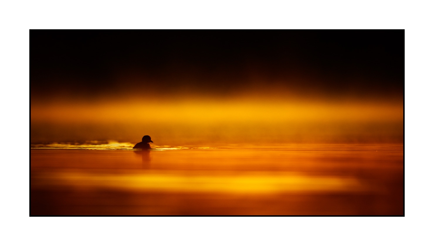 lumieres-et-couleurs/017-ambiances-etangs-de-la-dombes/fr/24-ambiance-sur-un-etang-de-la-dombes-220517DOMWLD0164C