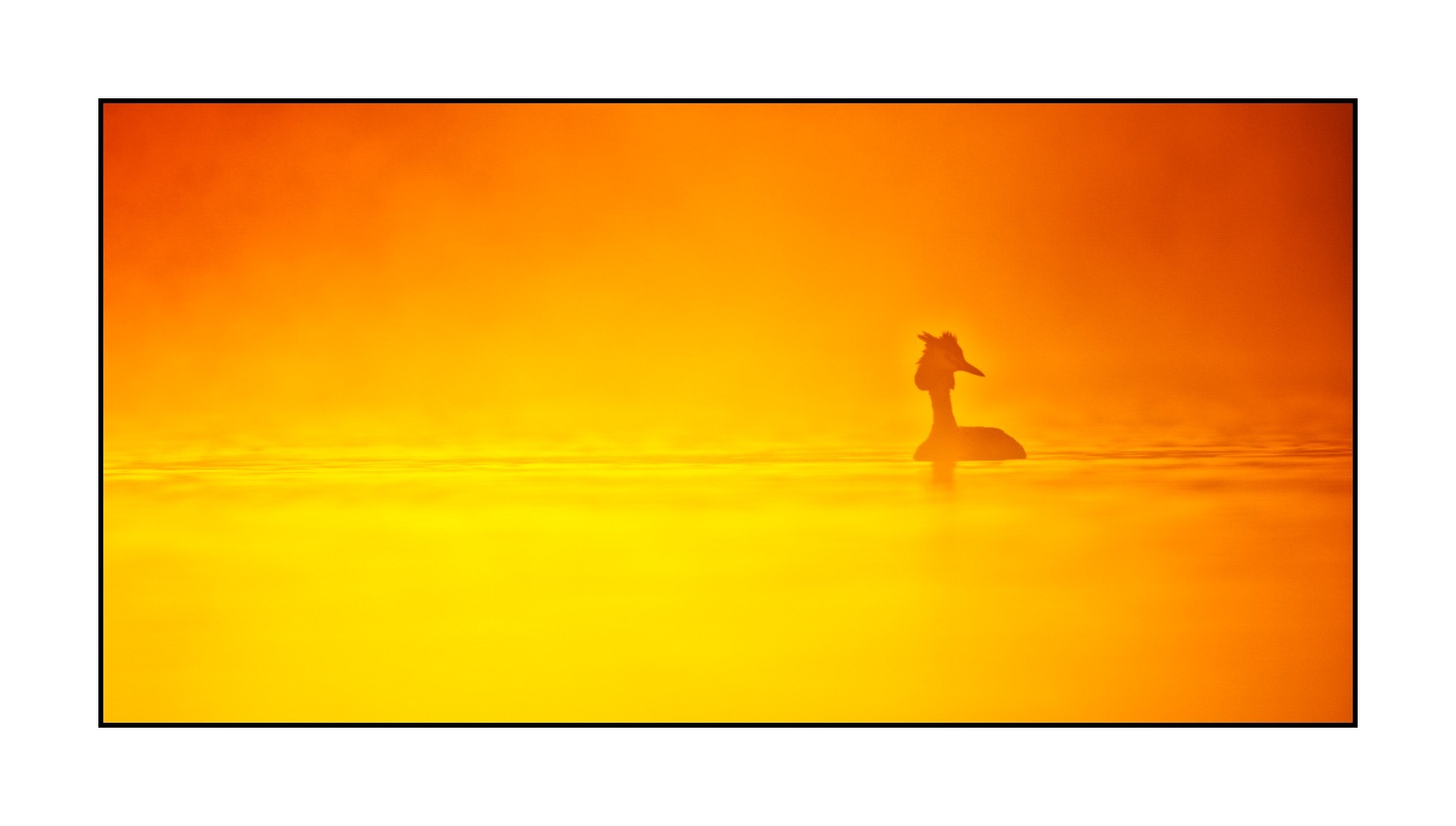 lumieres-et-couleurs/017-ambiances-etangs-de-la-dombes/fr/25-ambiance-sur-un-etang-de-la-dombes-220517DOMWLD0172C