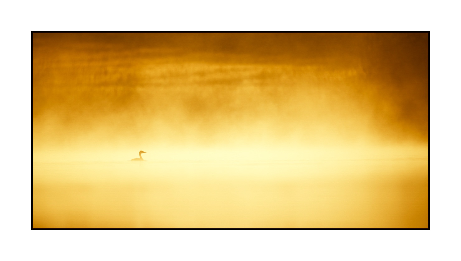 lumieres-et-couleurs/017-ambiances-etangs-de-la-dombes/fr/26-ambiance-sur-un-etang-de-la-dombes-220517DOMWLD0183C