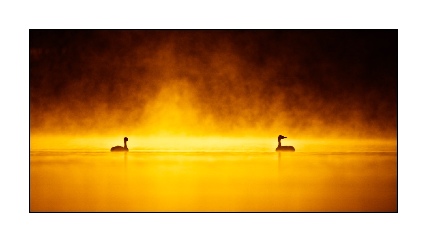 lumieres-et-couleurs/017-ambiances-etangs-de-la-dombes/fr/27-ambiance-sur-un-etang-de-la-dombes-220517DOMWLD0195C