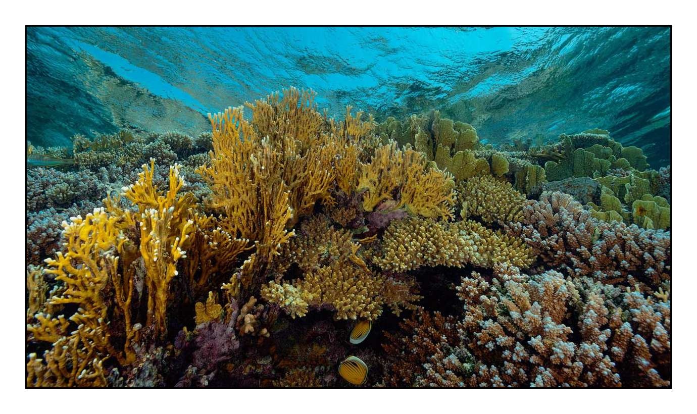 lumieres-et-couleurs/018-miroirs-de-l-ame/en/06-140906EGYSJO0108C