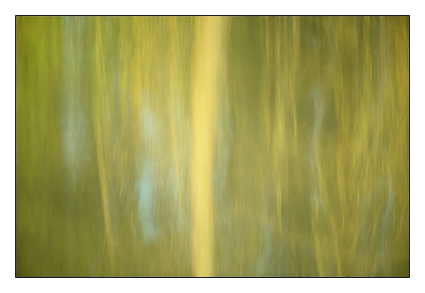 lumieres-et-couleurs/023-illusions-en-couleurs/en/08-180609DOMMIN0128C