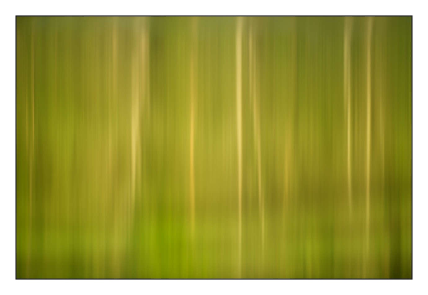 lumieres-et-couleurs/023-illusions-en-couleurs/fr/03-180609DOMMIN0416C