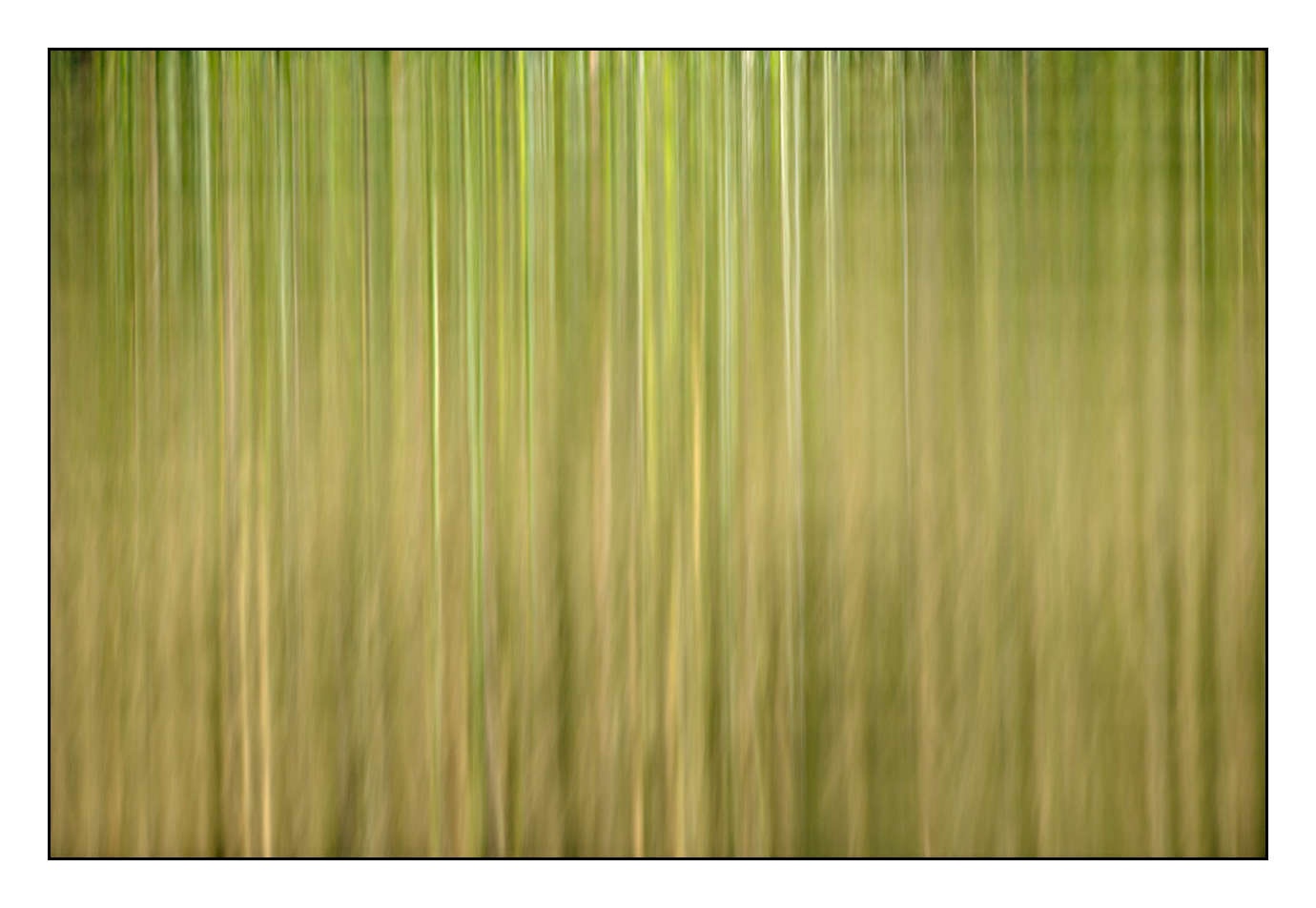 lumieres-et-couleurs/023-illusions-en-couleurs/fr/04-180609DOMMIN0400C