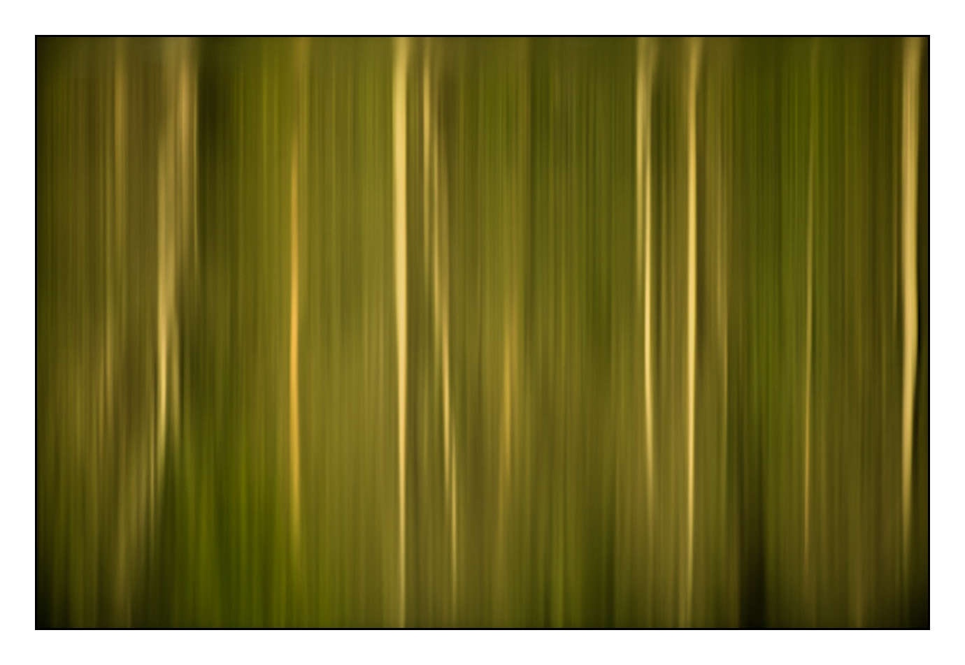 lumieres-et-couleurs/023-illusions-en-couleurs/fr/06-180609DOMMIN0415C
