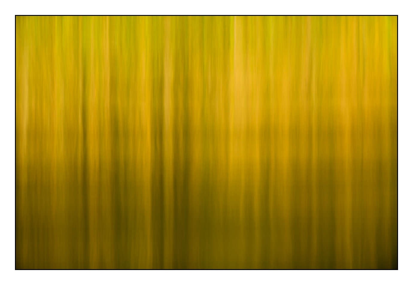 lumieres-et-couleurs/023-illusions-en-couleurs/fr/09-180609DOMMIN0396C
