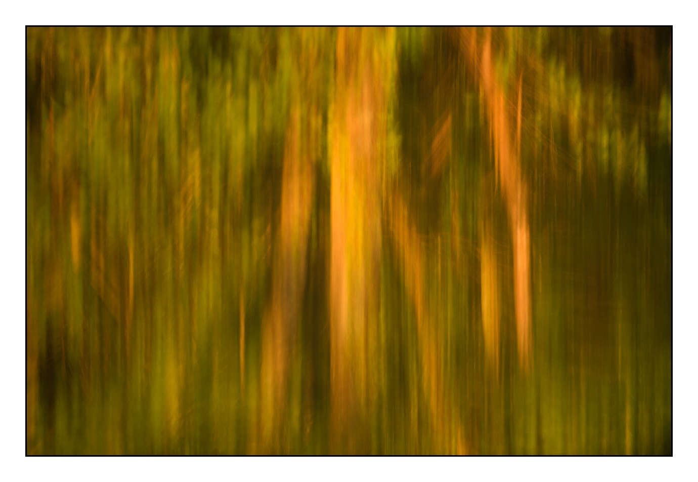 lumieres-et-couleurs/023-illusions-en-couleurs/fr/10-180609DOMMIN0125C