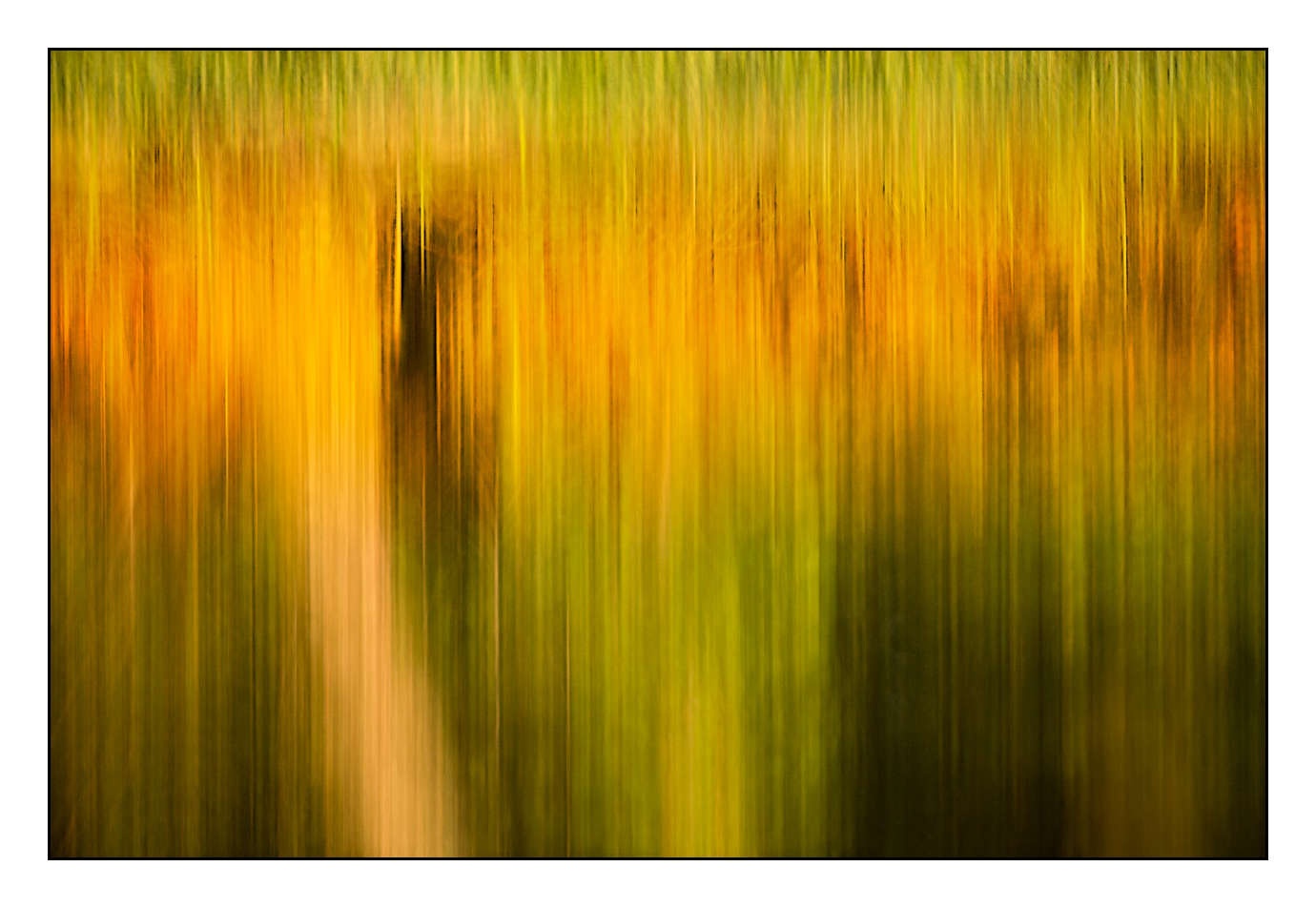 lumieres-et-couleurs/023-illusions-en-couleurs/fr/15-180609DOMMIN0156C