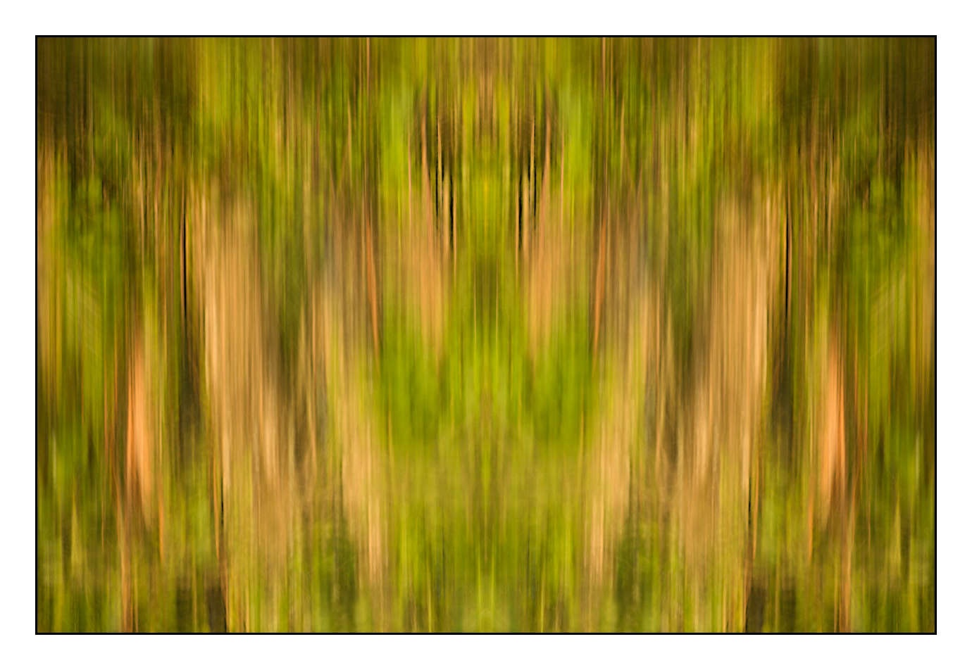 lumieres-et-couleurs/023-illusions-en-couleurs/fr/18-180609DOMMIN0192C
