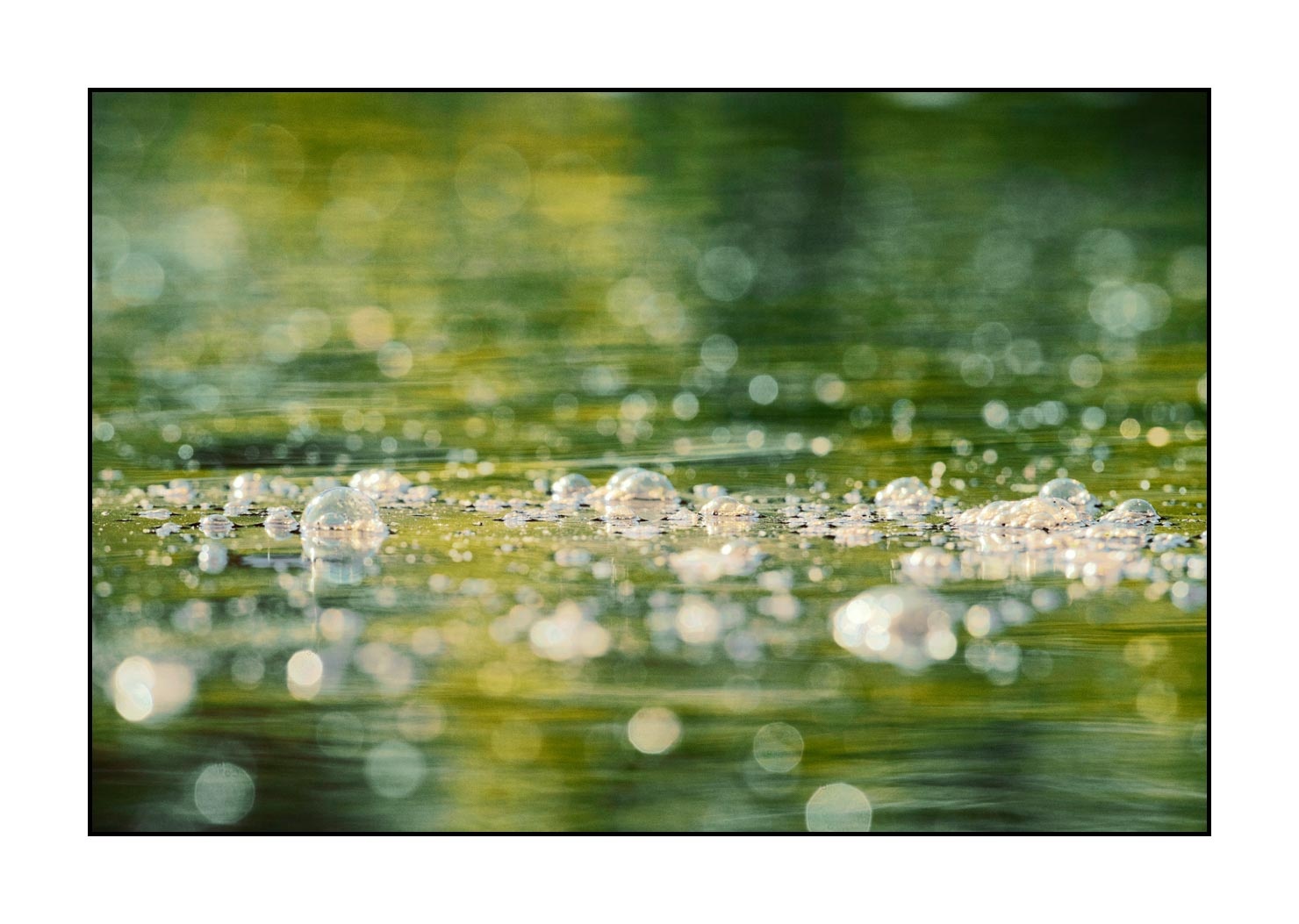 lumieres-et-couleurs/040-bulles/en/01-bubbles-190601DOMCON0310C