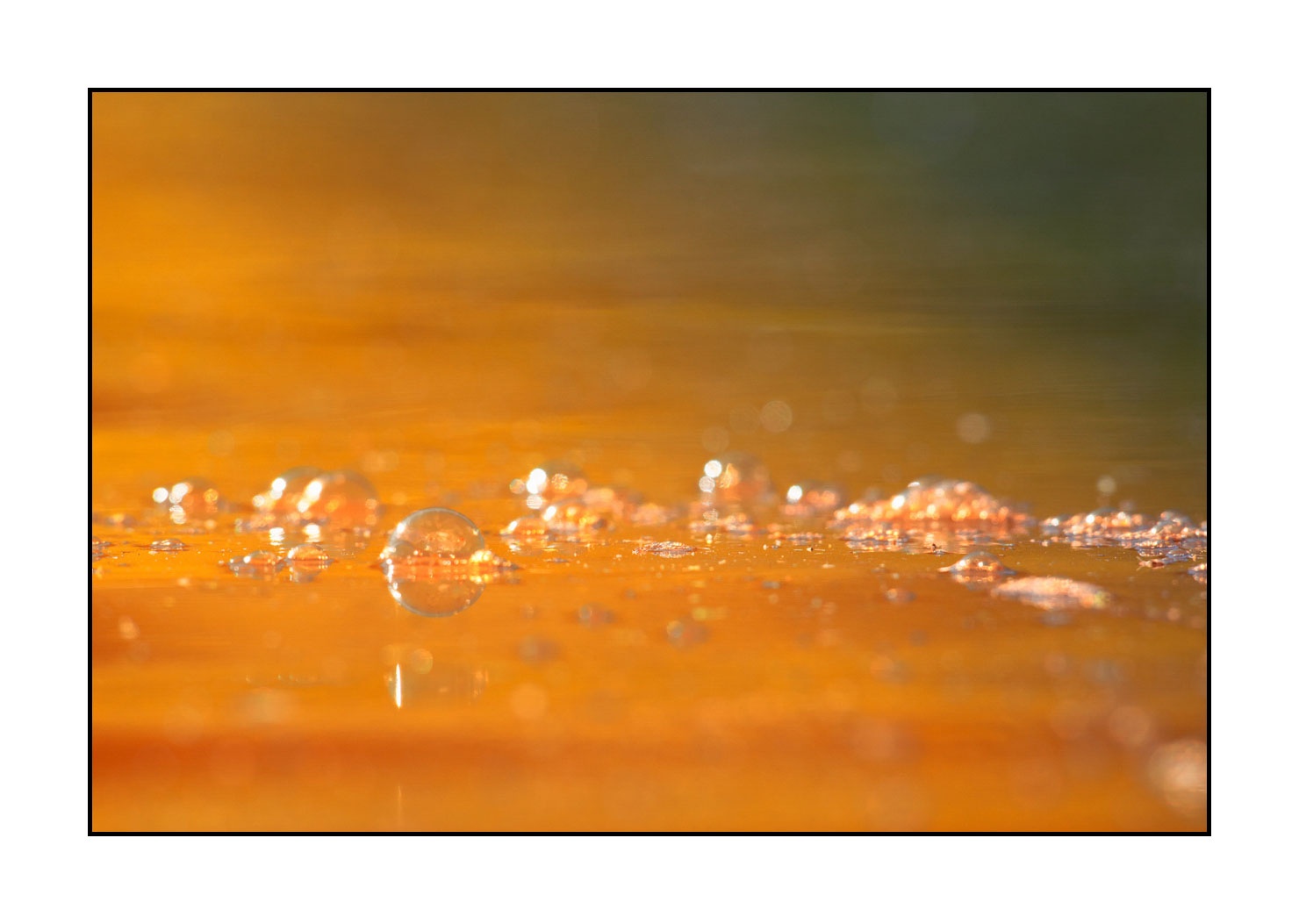 lumieres-et-couleurs/040-bulles/fr/04-bulles-190601DOMCON0316C