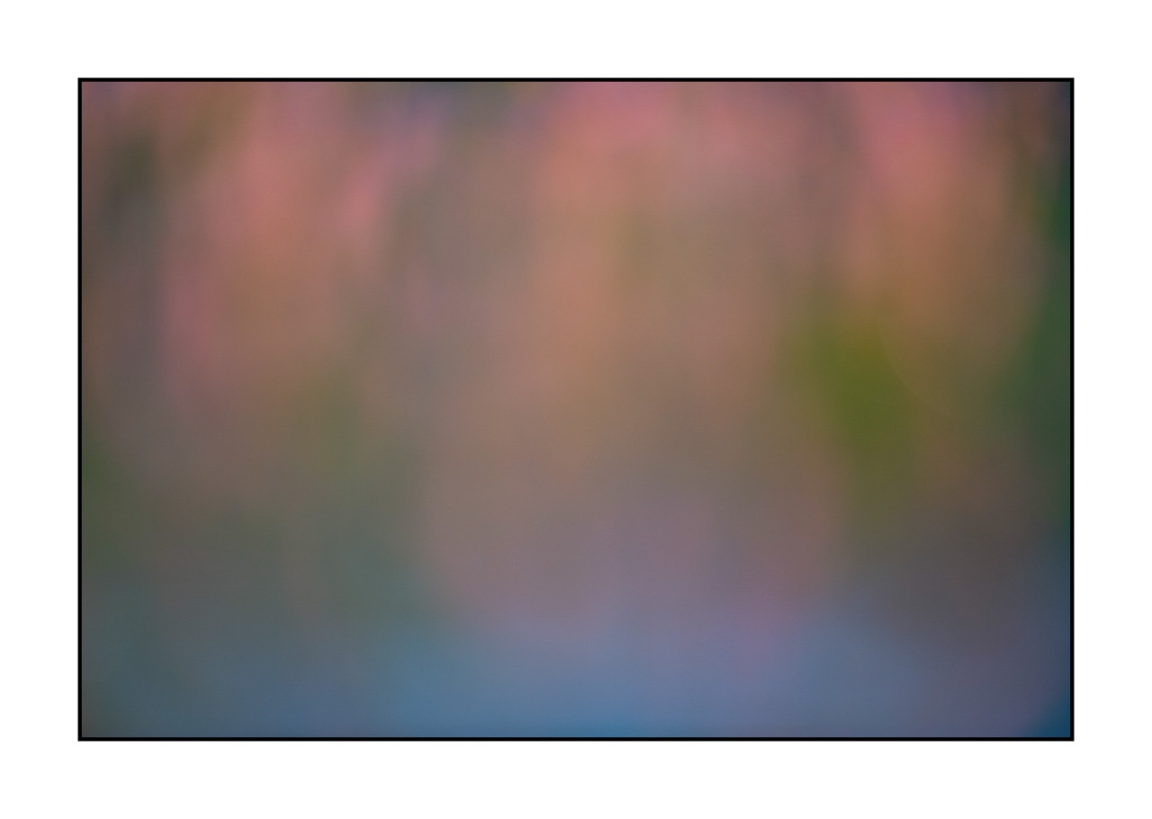 lumieres-et-couleurs/042-jardins-aquatiques/en/02-water-garden-220517DOMCON0246C
