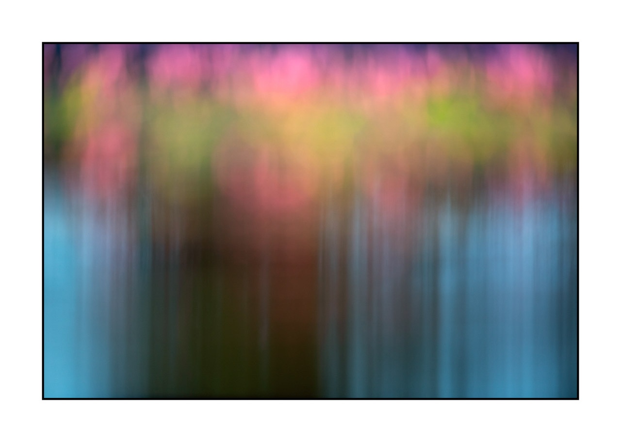 lumieres-et-couleurs/042-jardins-aquatiques/en/04-water-garden-220517DOMCON0251C