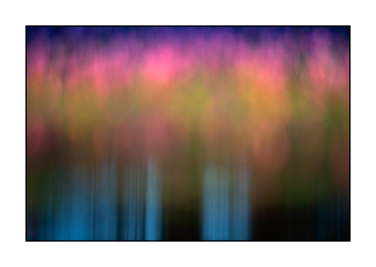 lumieres-et-couleurs/042-jardins-aquatiques/en/05-water-garden-220517DOMCON0253C