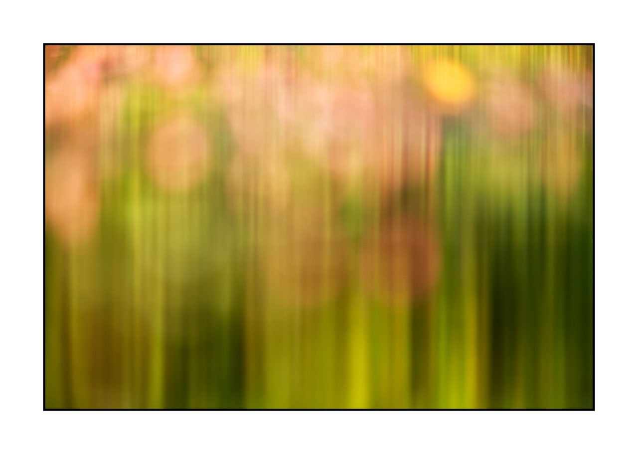 lumieres-et-couleurs/042-jardins-aquatiques/en/08-water-garden-220517DOMCON0499C