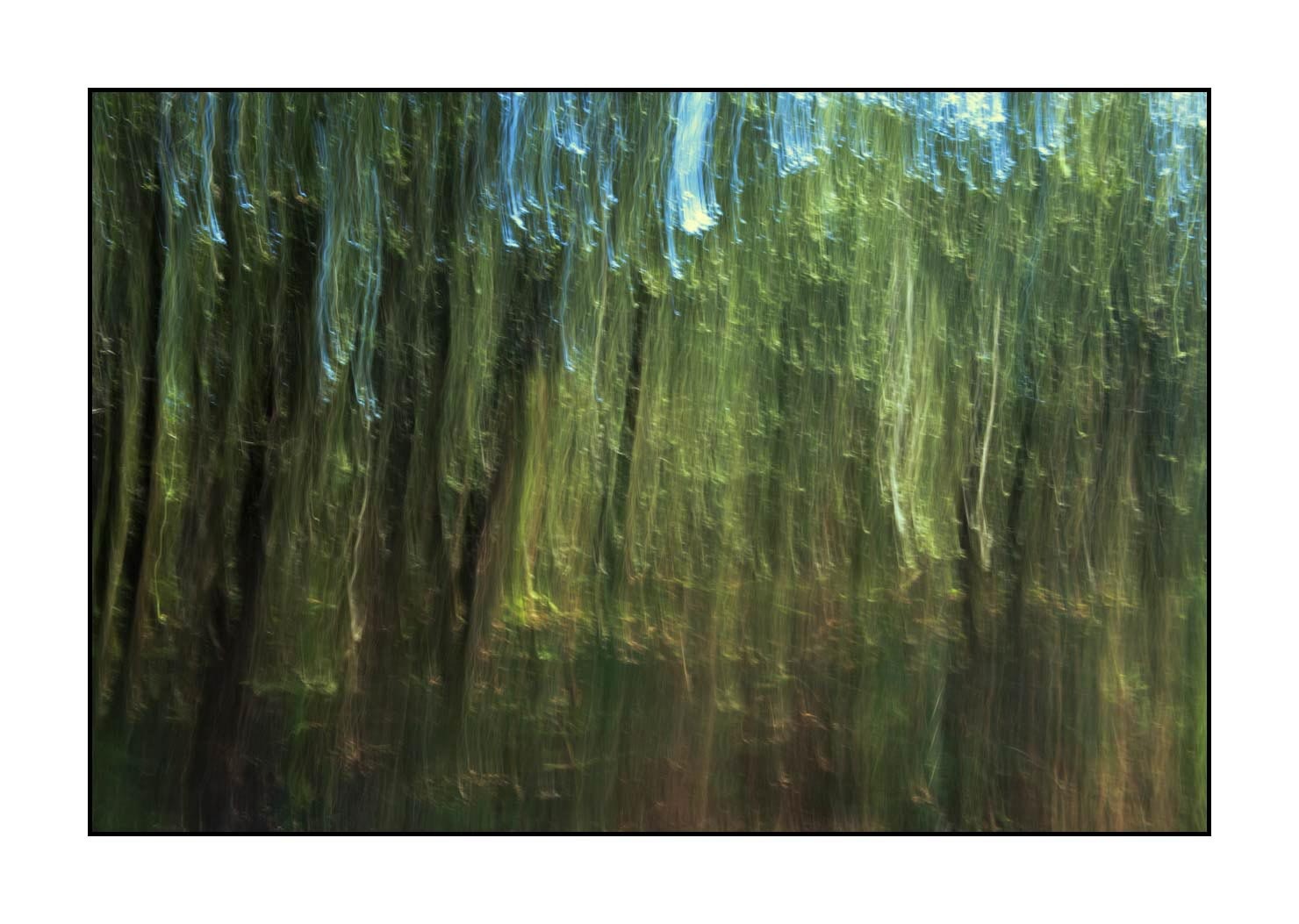 lumieres-et-couleurs/045-la-danse-des-arbres/en/08-the-dance-of-the-trees-1661-32C
