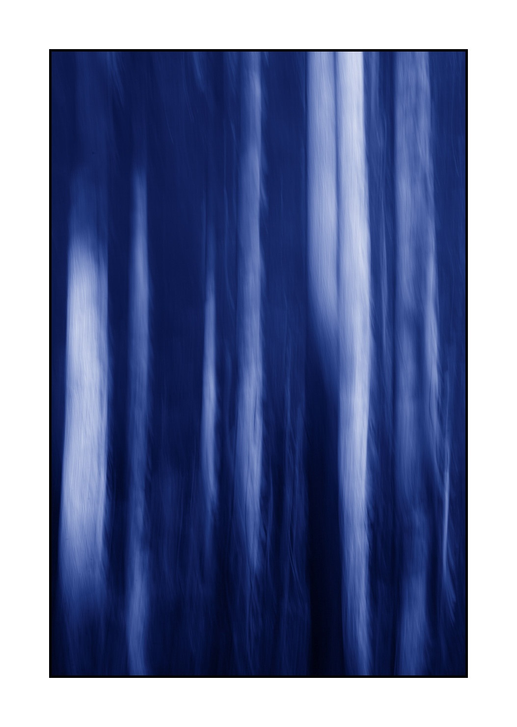 lumieres-et-couleurs/045-la-danse-des-arbres/en/15-the-dance-of-the-trees-1831-32C