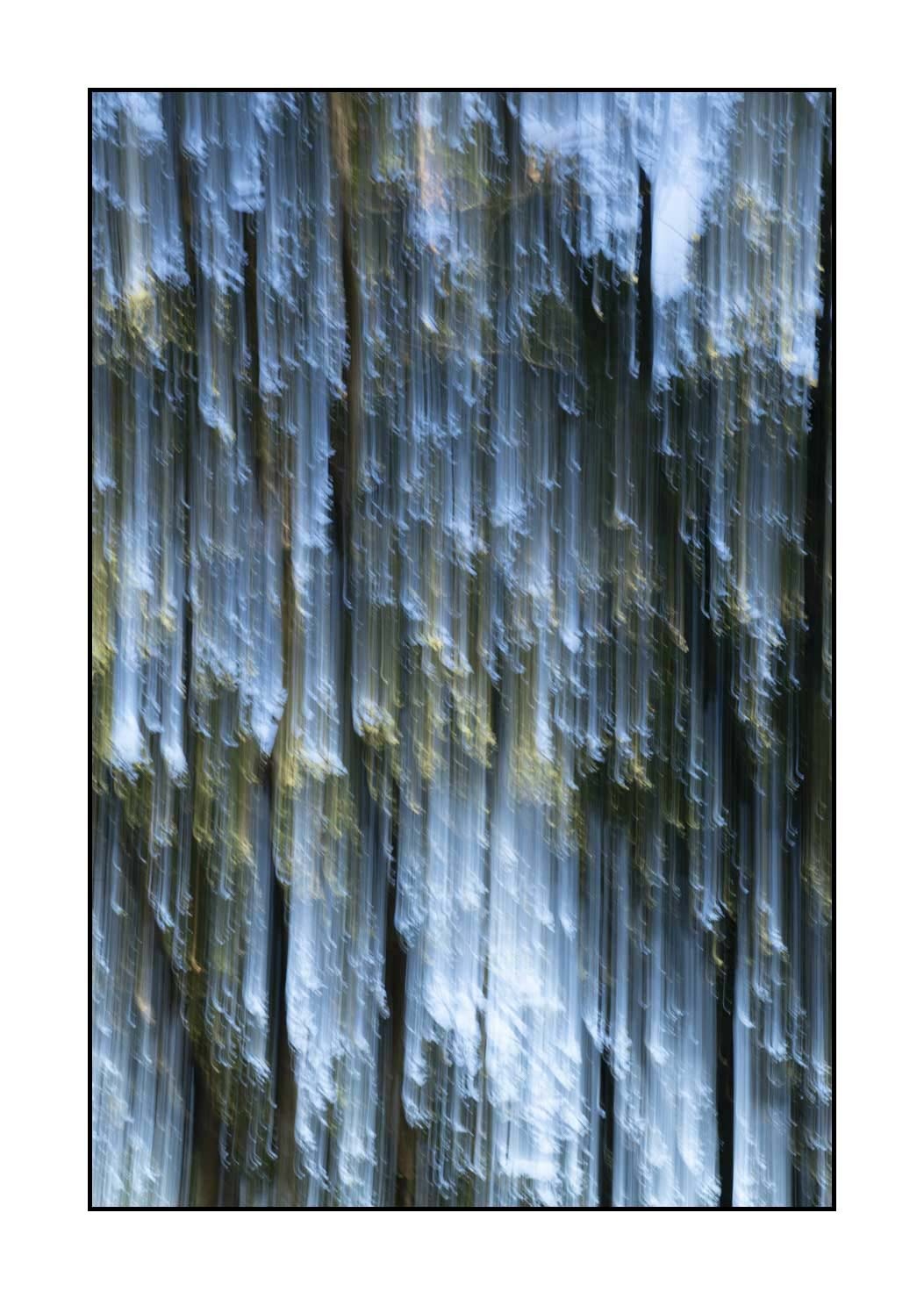 lumieres-et-couleurs/049-les-pleurs-des-arbres/fr/02-les-pleurs-des-arbres-1647-32C