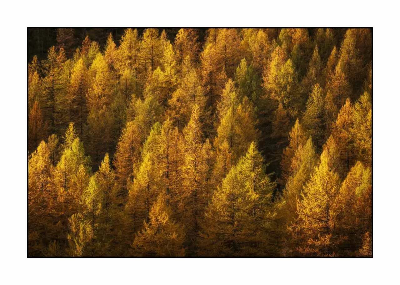 lumieres-et-couleurs/054-paysages-vallee-de-la-claree/en/06-landscape-valley-la-claree-alps-2022-32C