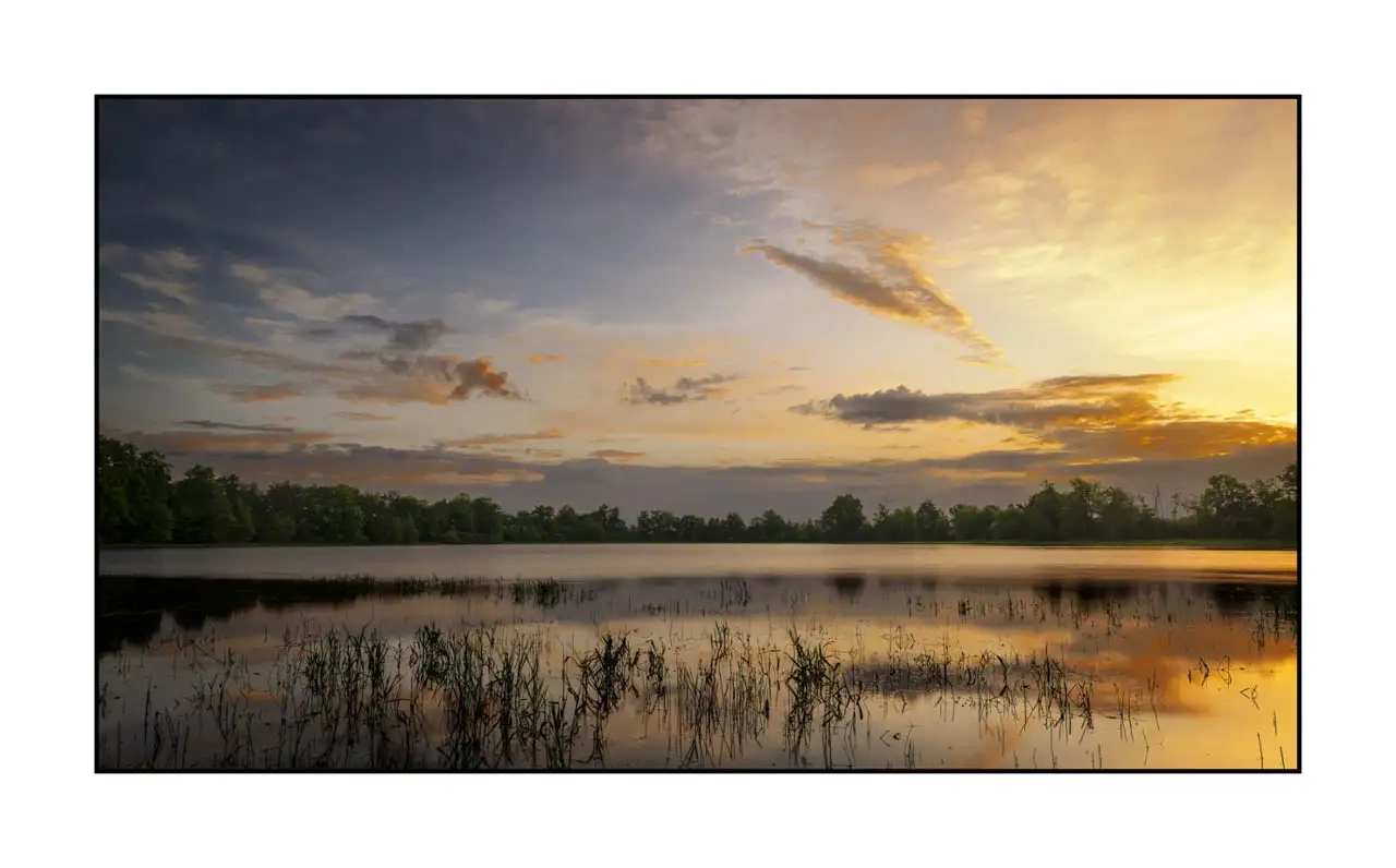 lumieres-et-couleurs/062-dans-l-intimite-de-la-dombes/fr/08-paysage-etang-dombes-2179-169C