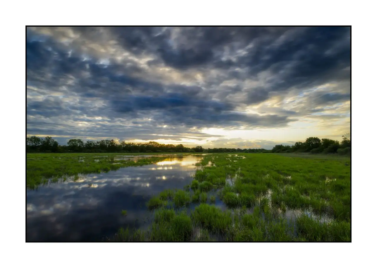 lumieres-et-couleurs/062-dans-l-intimite-de-la-dombes/fr/10-paysage-etang-dombes-2181-32C