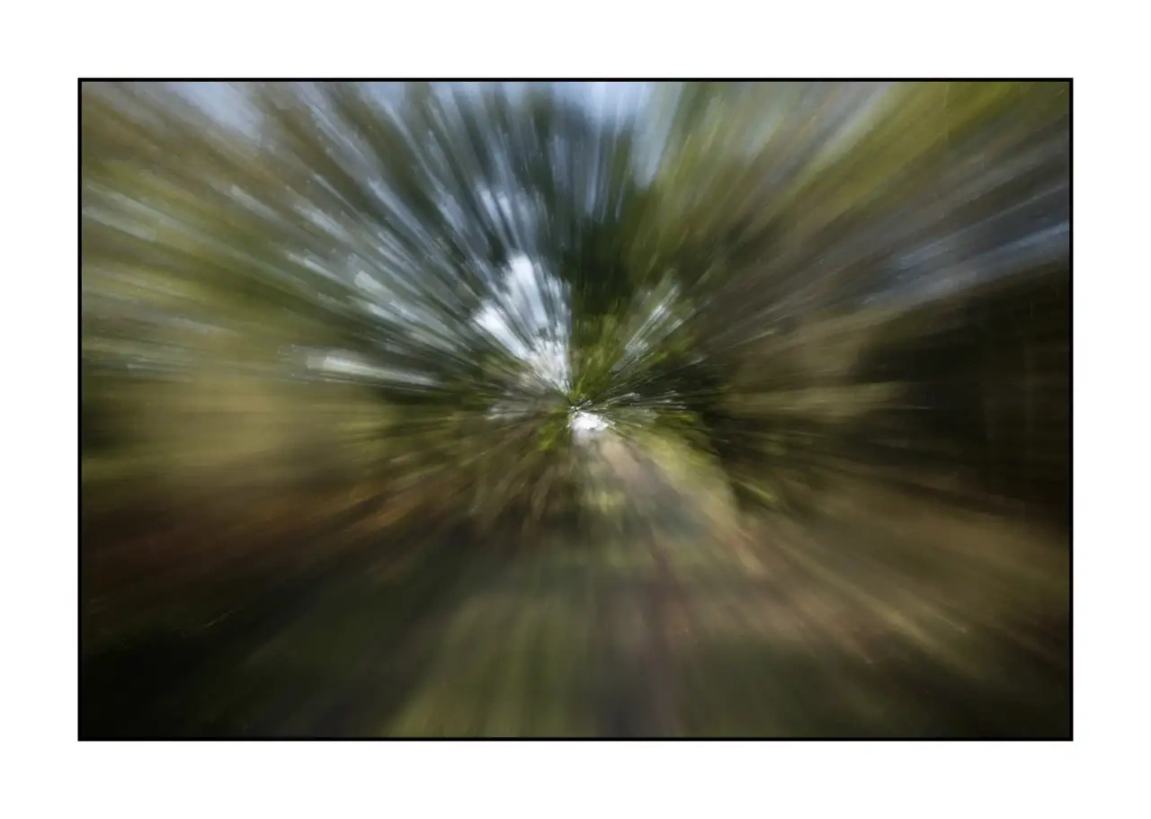 lumieres-et-couleurs/066-fuite-vers-l-invisible/edition-limitee/fr/01-photo-abstraite-sous-bois-zooming-2341-32I