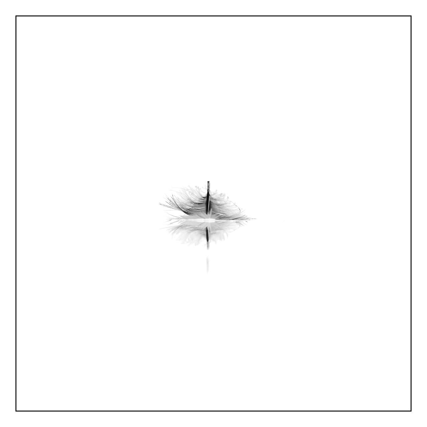 nuances-de-noirs-et-de-blancs/006-douceur/en/09-170604DOMWLD2557B