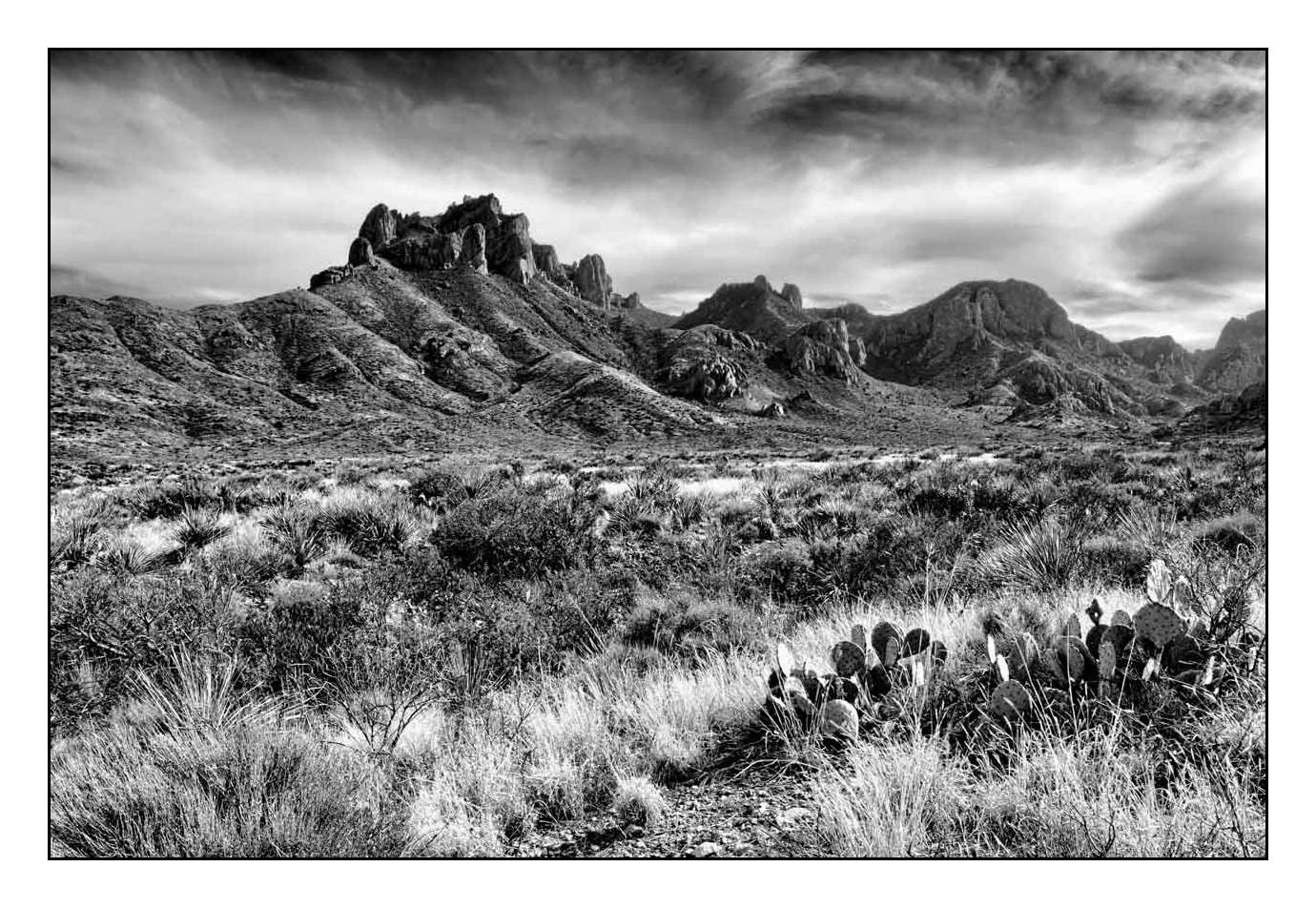 nuances-de-noirs-et-de-blancs/011-merveilles-naturelles-de-big-bend-au-texas/fr/04-140312TEXBENCHIHD0002