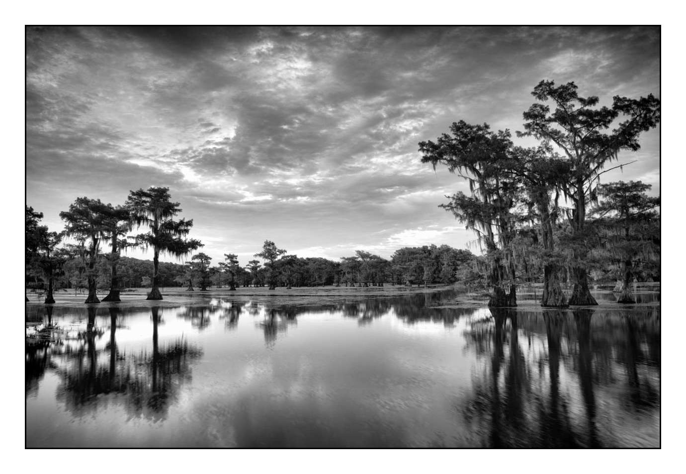 nuances-de-noirs-et-de-blancs/012-les-mysteres-de-caddo-lake-texas/en/01-170827CADLAK0152B