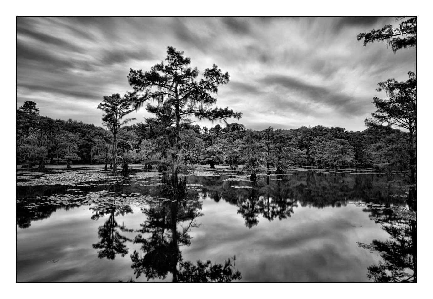 nuances-de-noirs-et-de-blancs/012-les-mysteres-de-caddo-lake-texas/en/02-170827CADLAK0057B