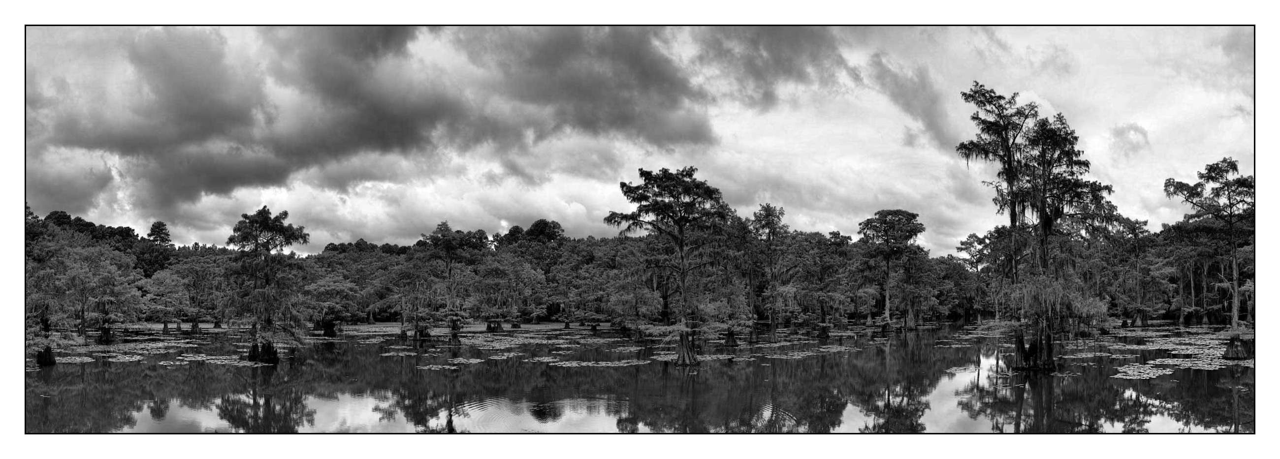 nuances-de-noirs-et-de-blancs/012-les-mysteres-de-caddo-lake-texas/en/03-170827CADLAK9001PB