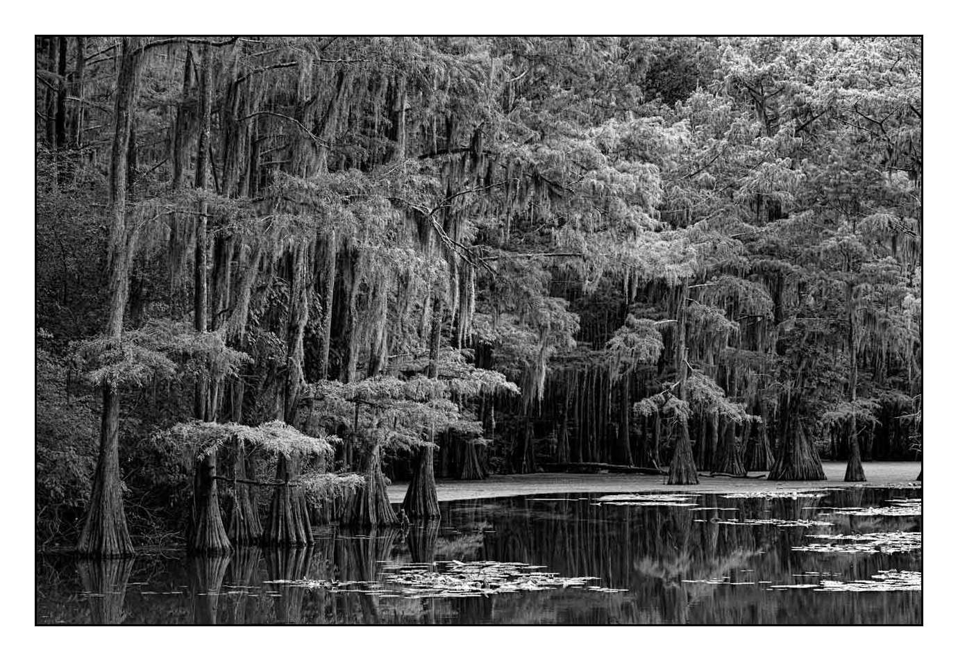 nuances-de-noirs-et-de-blancs/012-les-mysteres-de-caddo-lake-texas/en/05-170827CADLAK0010B