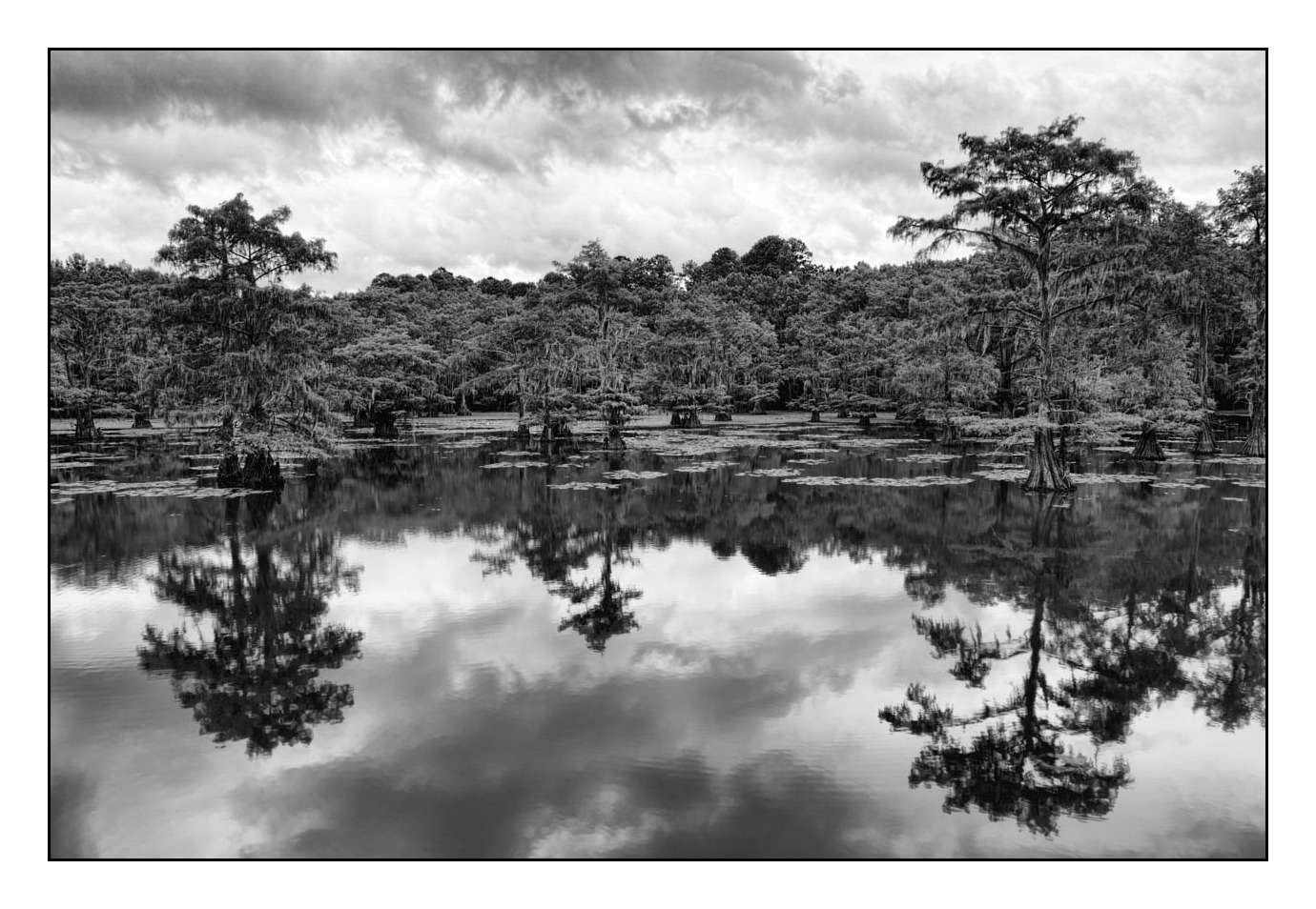 nuances-de-noirs-et-de-blancs/012-les-mysteres-de-caddo-lake-texas/en/06-170827CADLAK0036B