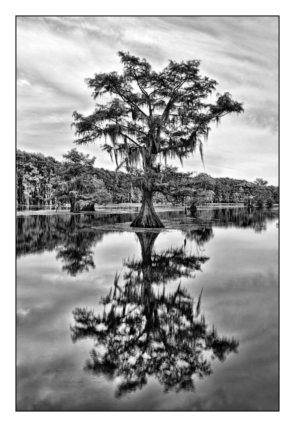 nuances-de-noirs-et-de-blancs/012-les-mysteres-de-caddo-lake-texas/en/18-170827CADLAK0136B
