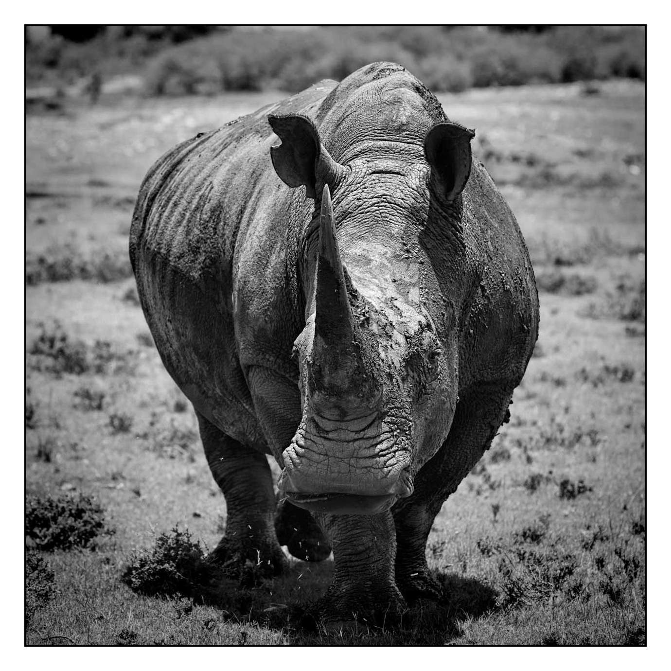 nuances-de-noirs-et-de-blancs/026-portraits-africains/en/15-170913MASANI7885B