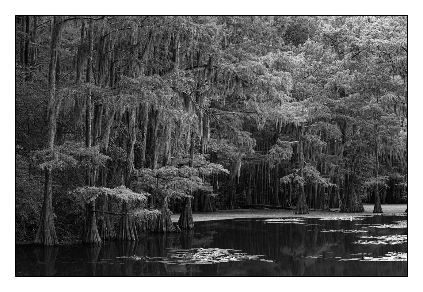 nuances-de-noirs-et-de-blancs/029-merveilles-naturelles-du-texas/en/10-170827CADLAK0010B
