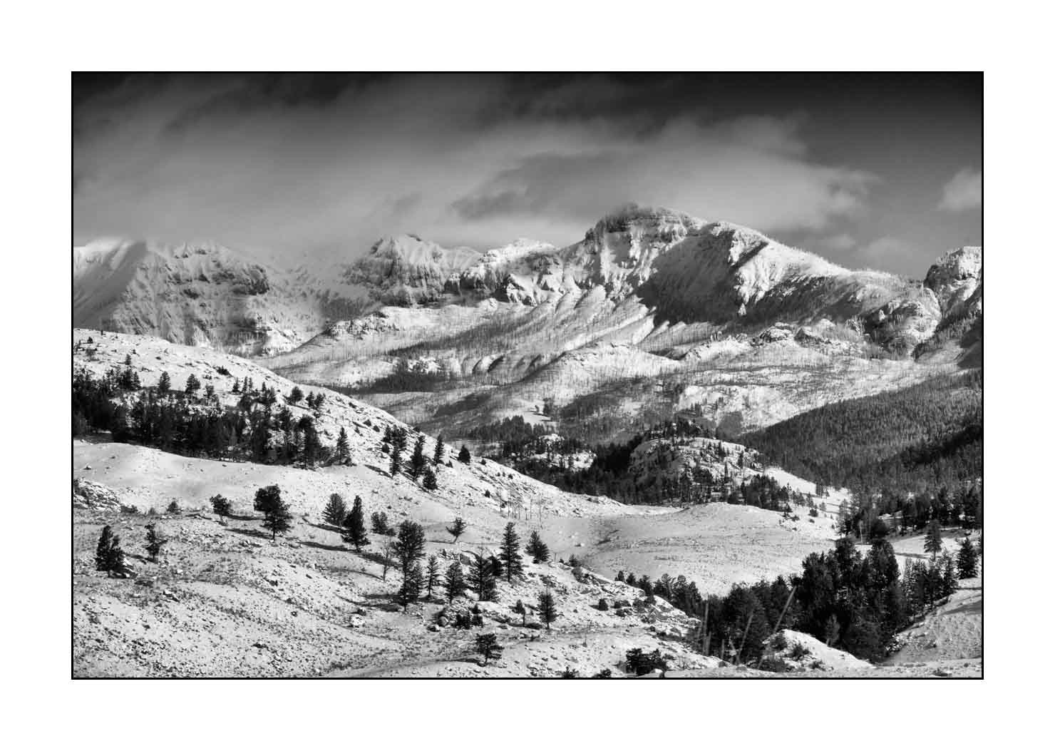 nuances-de-noirs-et-de-blancs/041-merveilles-naturelles-yellowstone-en-hiver/en/02-snowy-landscape-yellowstone-black-and-white-190127YELLAN0014B