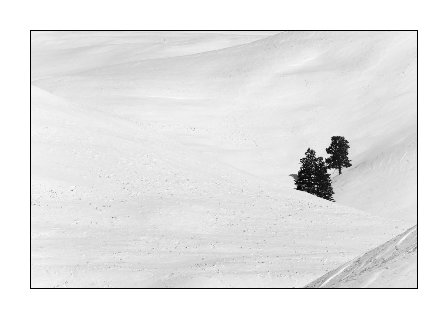 nuances-de-noirs-et-de-blancs/041-merveilles-naturelles-yellowstone-en-hiver/en/12-snowy-landscape-yellowstone-black-and-white-190127YELLAN0265B