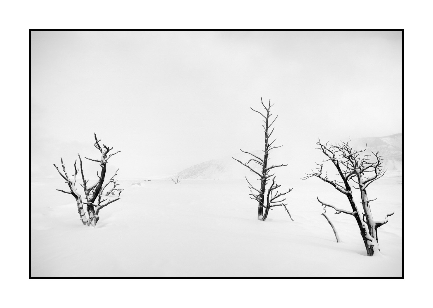nuances-de-noirs-et-de-blancs/041-merveilles-naturelles-yellowstone-en-hiver/en/24-snowy-landscape-yellowstone-black-and-white-220104YELLAN0031B