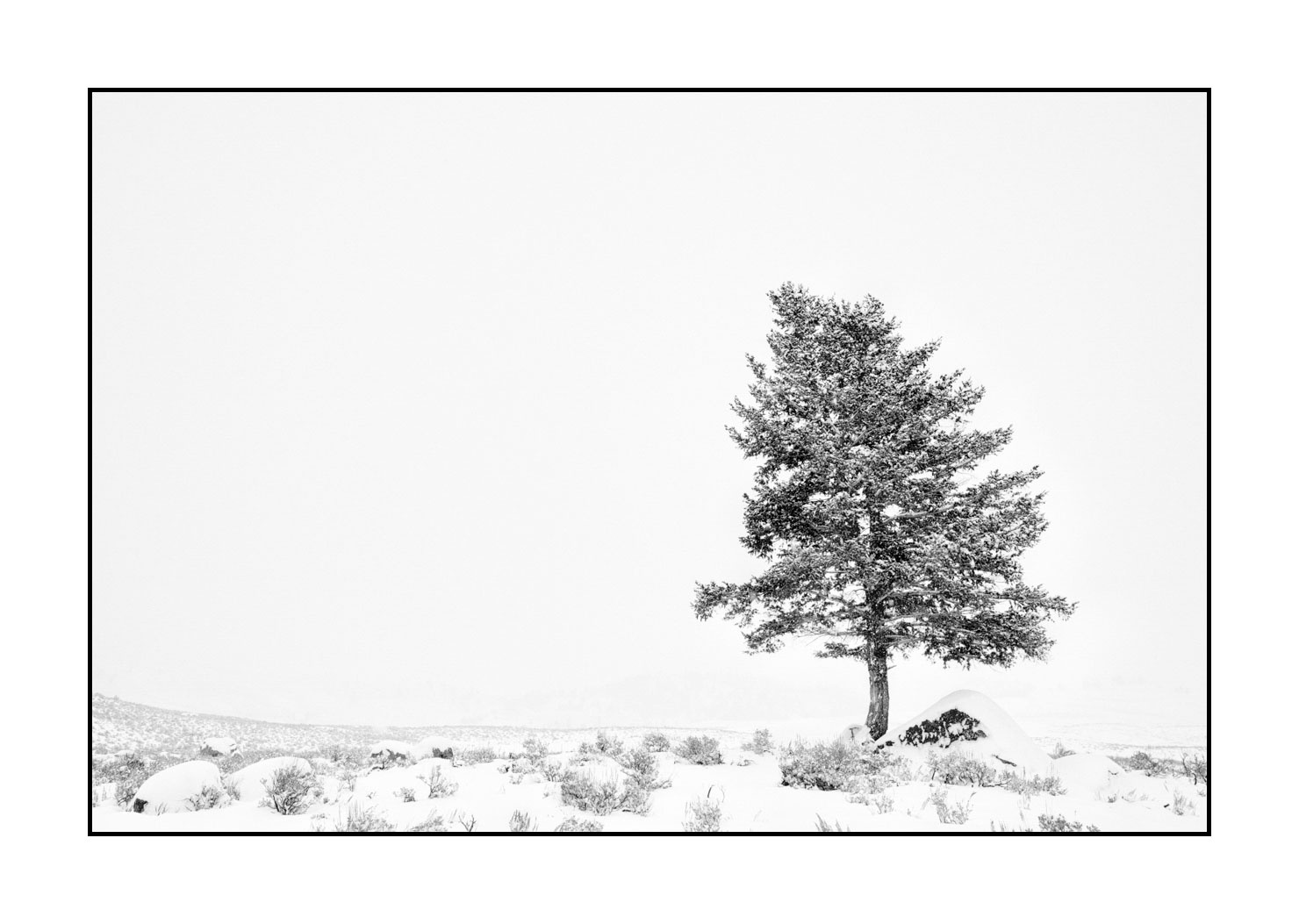 nuances-de-noirs-et-de-blancs/041-merveilles-naturelles-yellowstone-en-hiver/en/25-snowy-landscape-yellowstone-black-and-white-220104YELLAN0054B