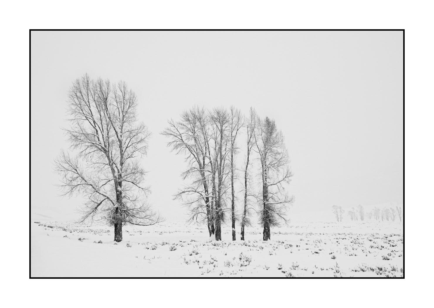nuances-de-noirs-et-de-blancs/041-merveilles-naturelles-yellowstone-en-hiver/en/26-snowy-landscape-yellowstone-black-and-white-220104YELLAN0063B
