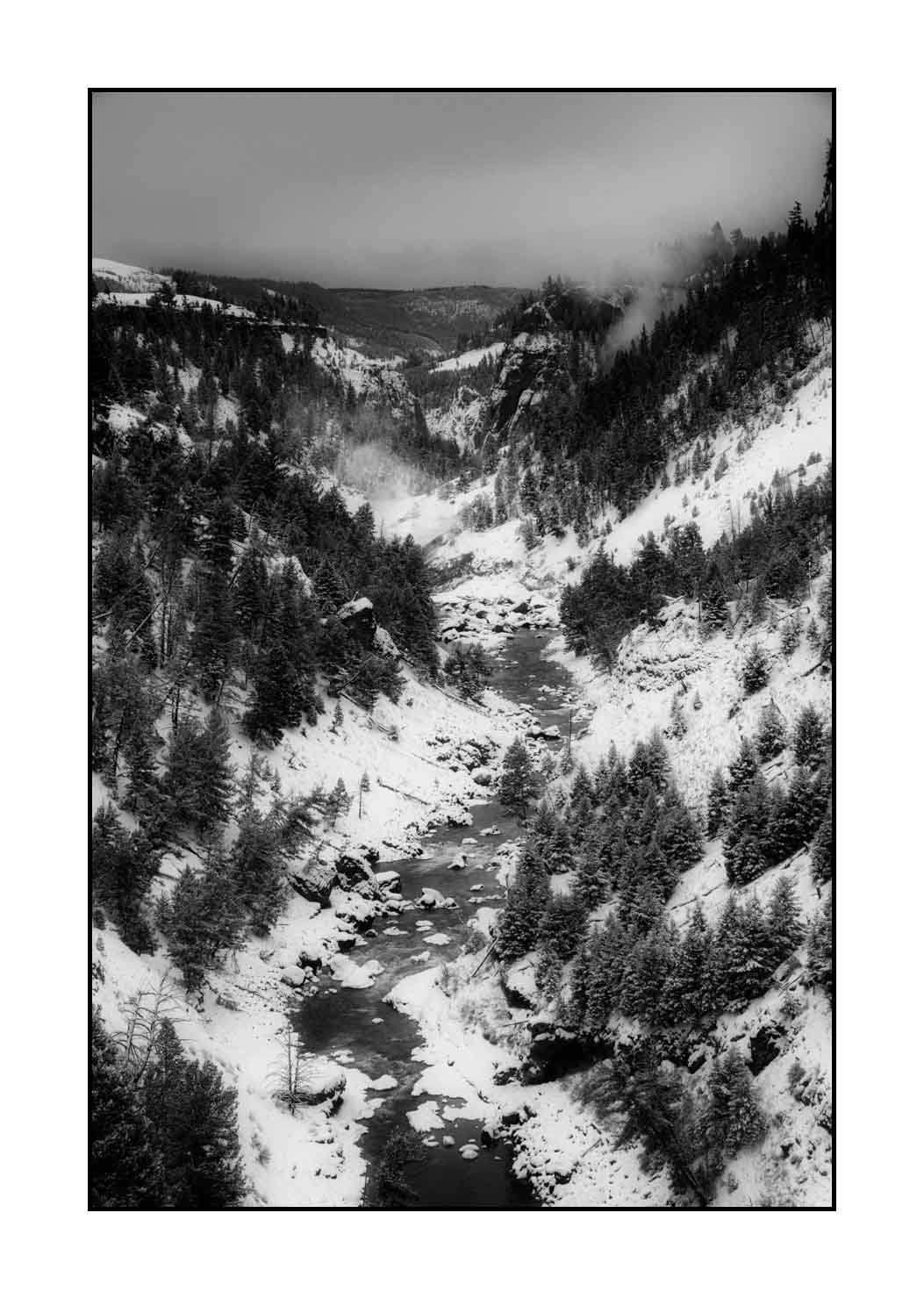 nuances-de-noirs-et-de-blancs/041-merveilles-naturelles-yellowstone-en-hiver/en/33-snowy-landscape-yellowstone-black-and-white-220104YELLAN0024B