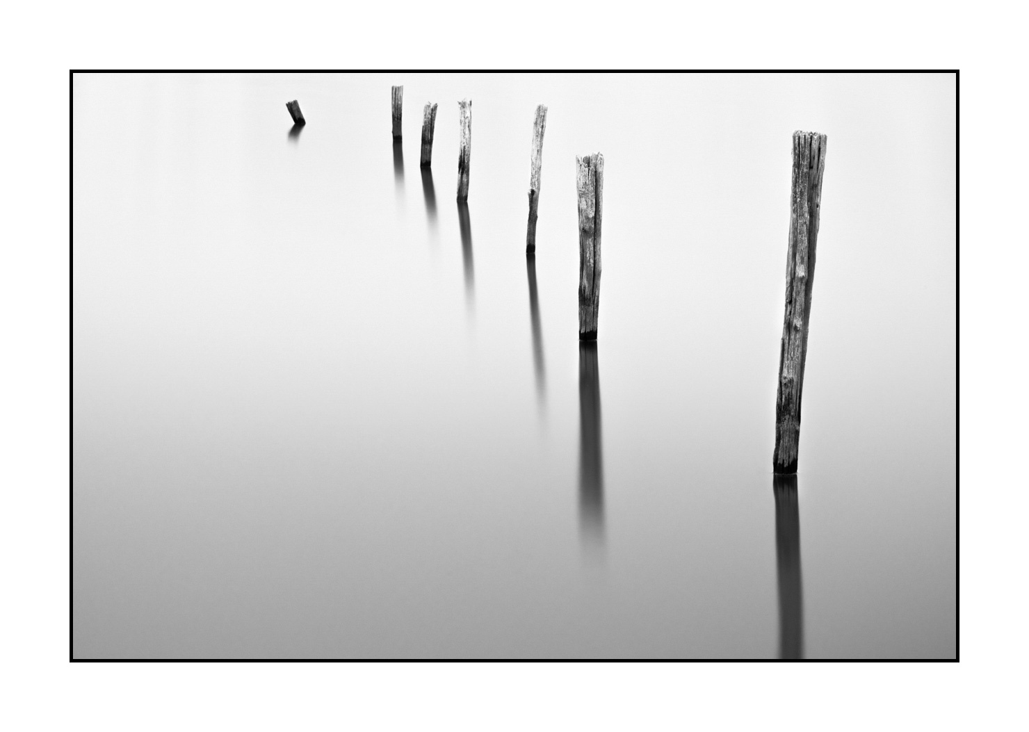 nuances-de-noirs-et-de-blancs/043-seuls/en/01-stakes-flooded-meadow-high-key-in-black-and-white-190702GUICON0071B
