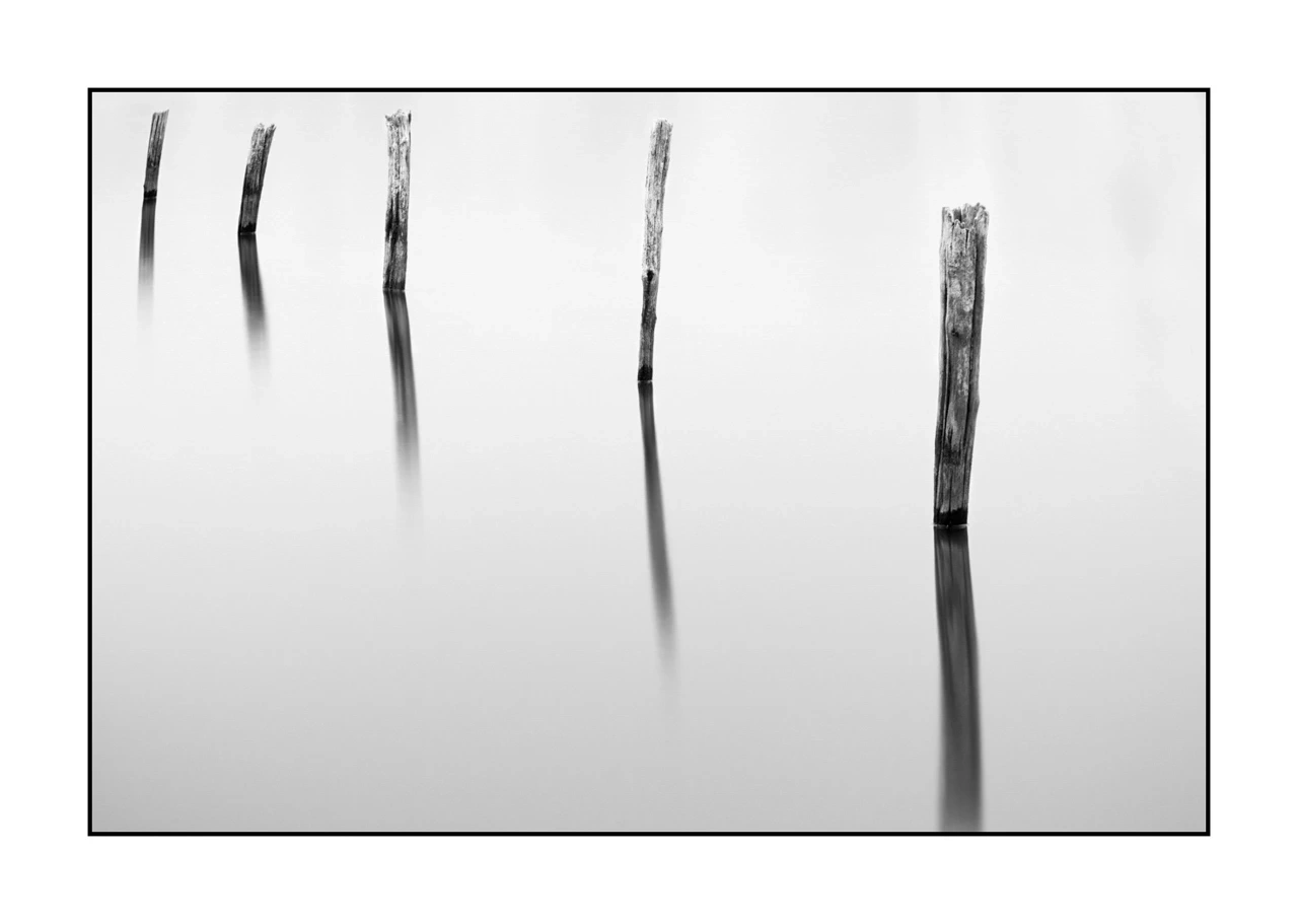 nuances-de-noirs-et-de-blancs/043-seuls/en/02-stakes-pond-lonely-collection-809-32B