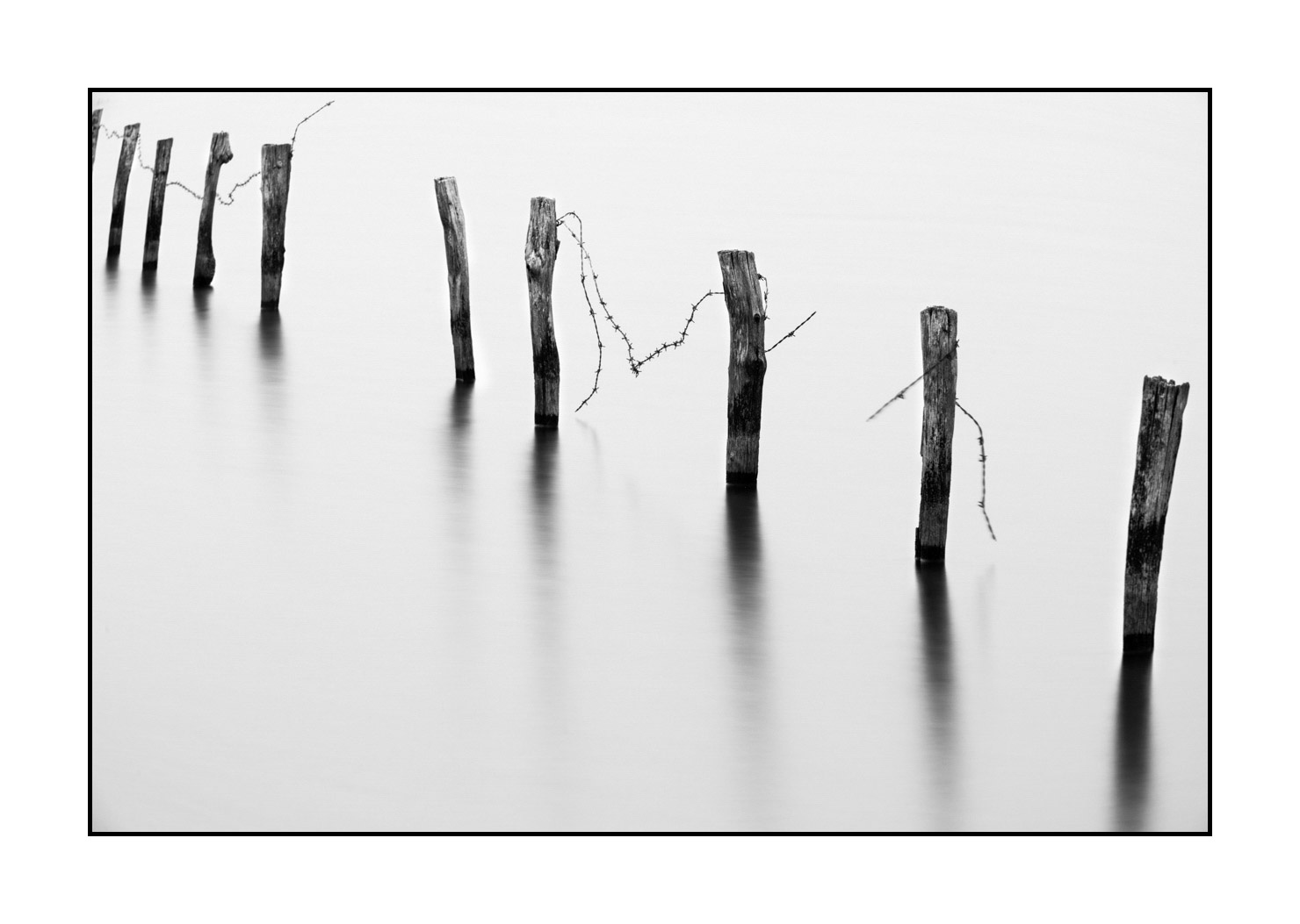 nuances-de-noirs-et-de-blancs/043-seuls/en/05-stakes-flooded-meadow-high-key-in-black-and-white-190702GUICON0081B