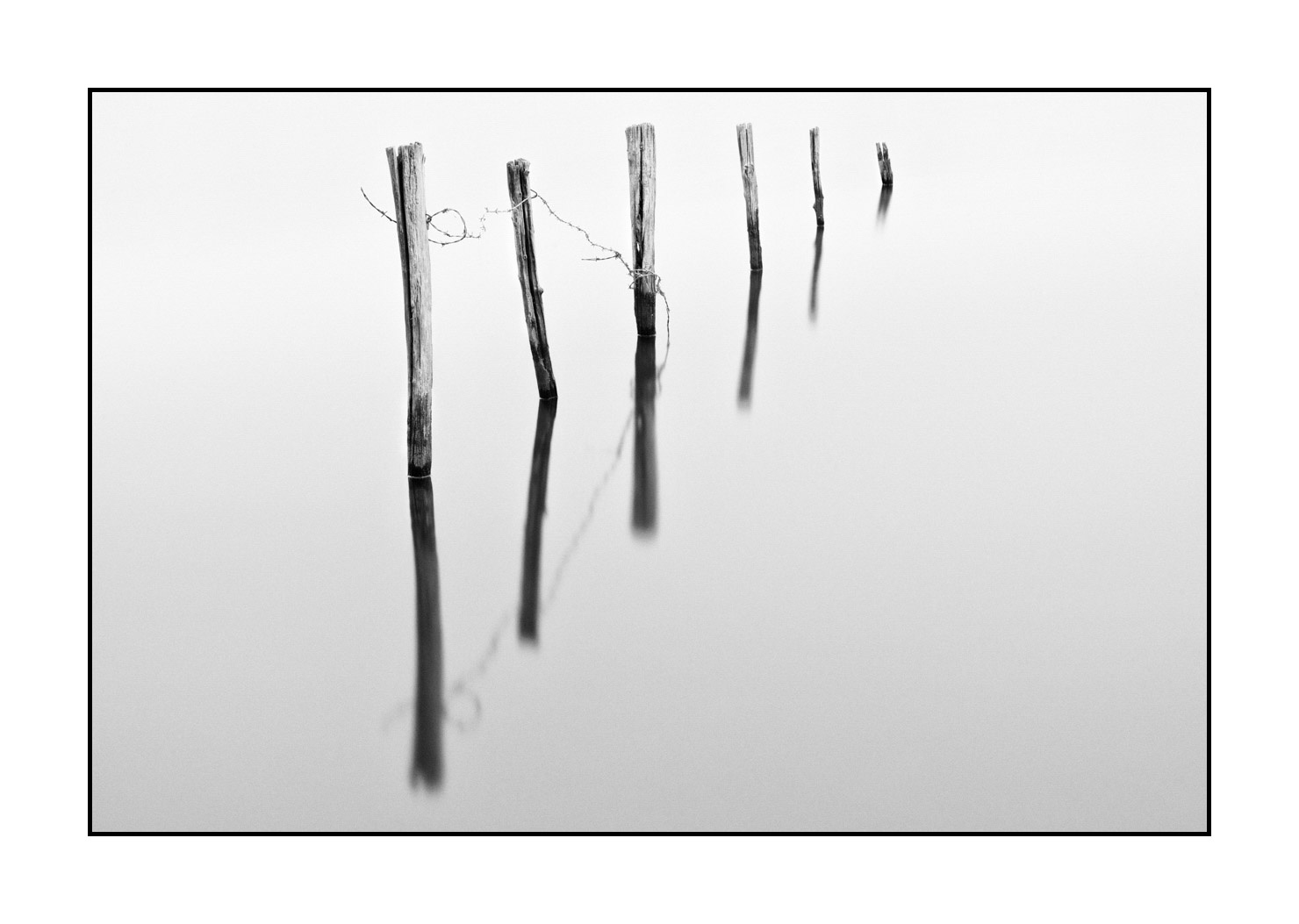 nuances-de-noirs-et-de-blancs/043-seuls/fr/03-piquets-prairie-inondee-high-key-en-noir-et-blanc-190702GUICON0068B
