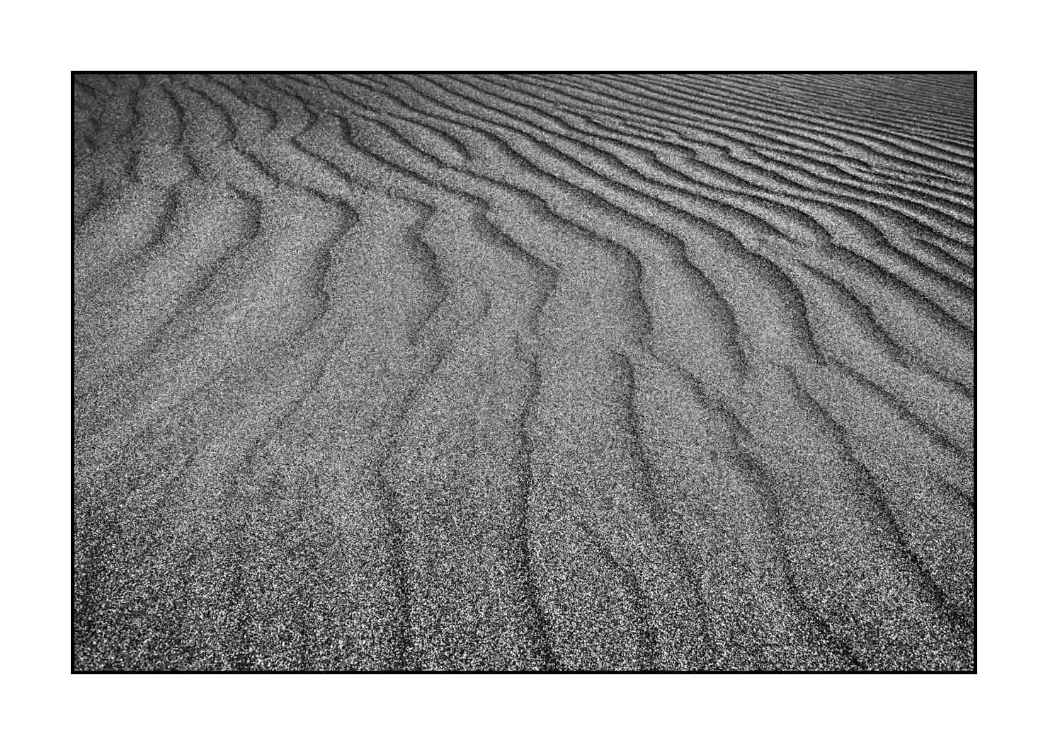 nuances-de-noirs-et-de-blancs/059-merveilles-naturelles-de-great-sand-dunes/en/24-great-sand-dune-black-and-white-200816GRSDUN0233B
