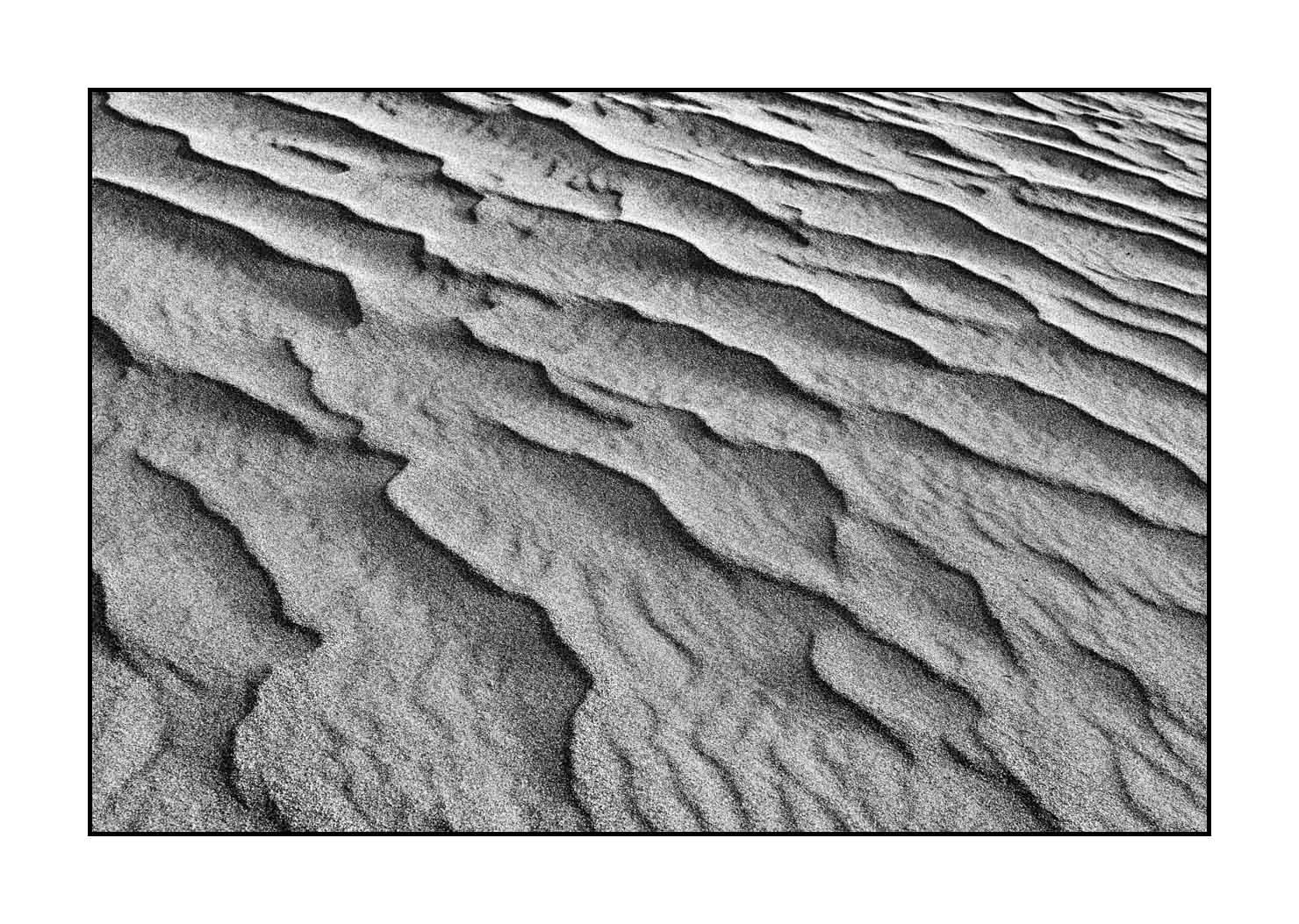 nuances-de-noirs-et-de-blancs/059-merveilles-naturelles-de-great-sand-dunes/en/27-great-sand-dune-black-and-white-200816GRSDUN0258B