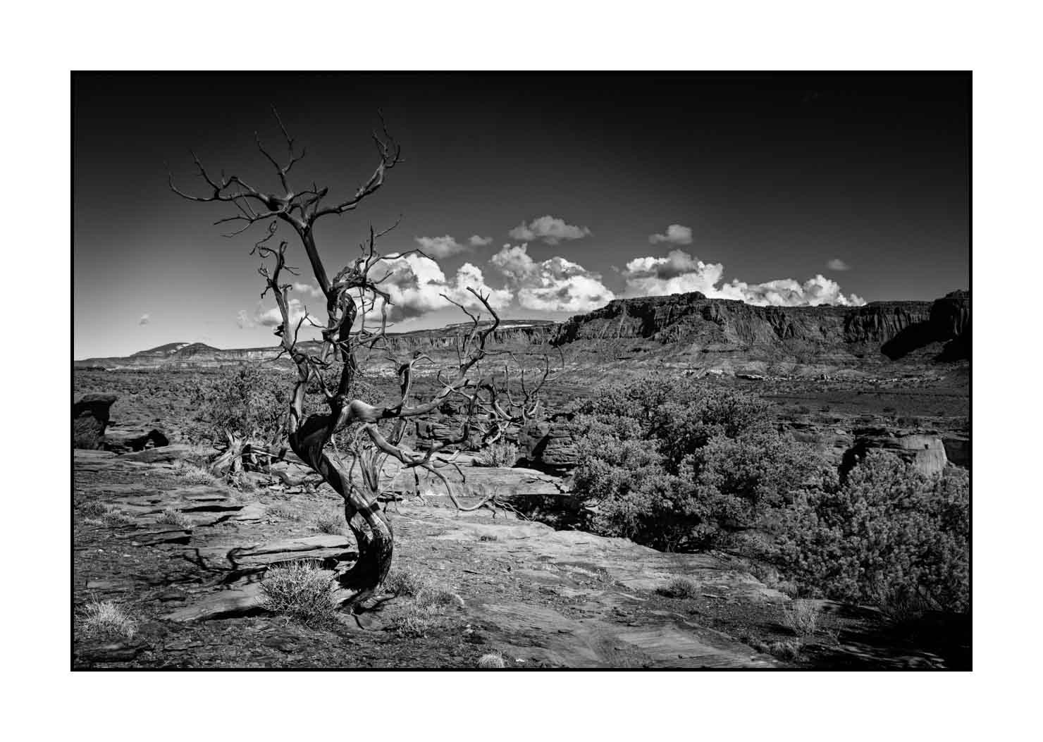 nuances-de-noirs-et-de-blancs/067-merveilles-naturelles-de-capitol-reef/fr/14-paysage-capitol-reef-noir-et-blanc-190508CAPLAN0104B