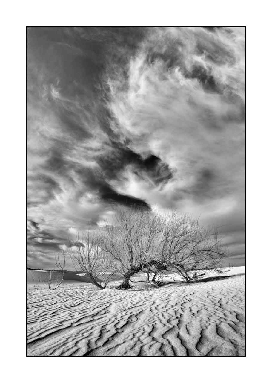 nuances-de-noirs-et-de-blancs/074-survivre-solitude/en/01-surviving-in-solitude-black-and-white-221227WSDLAN1337B